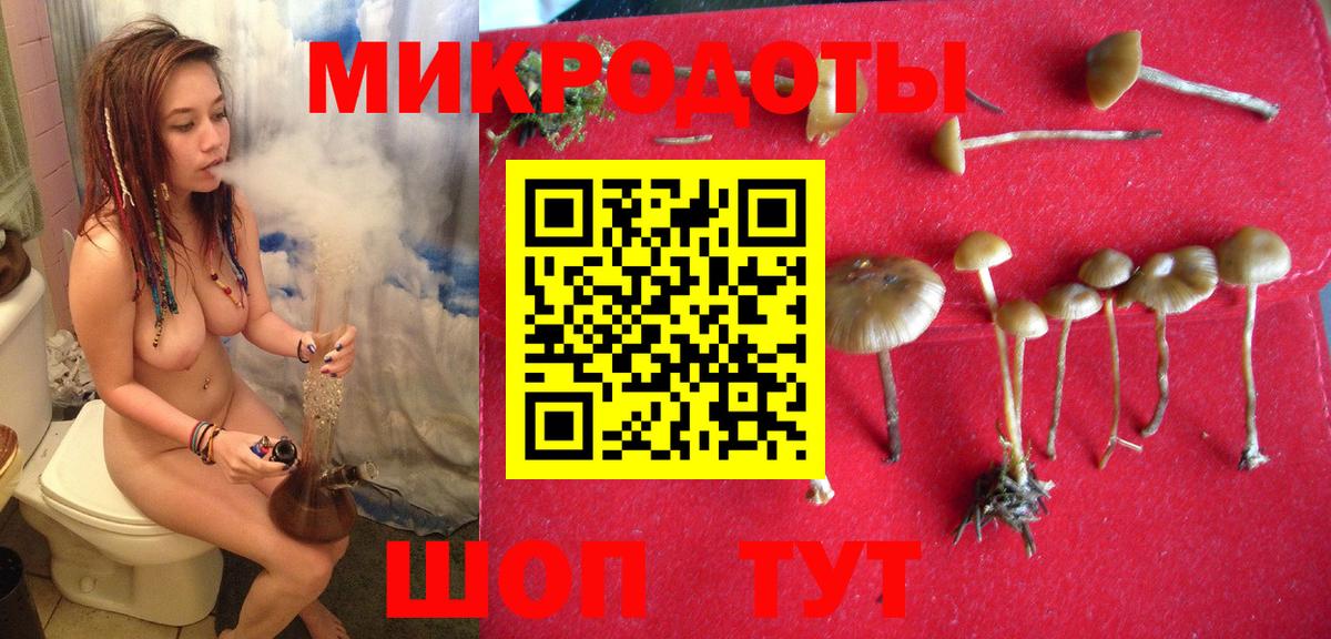 Галлюциногенные грибы Psilocybe  Вход с VPN  где купить наркоту  Еманжелинск 