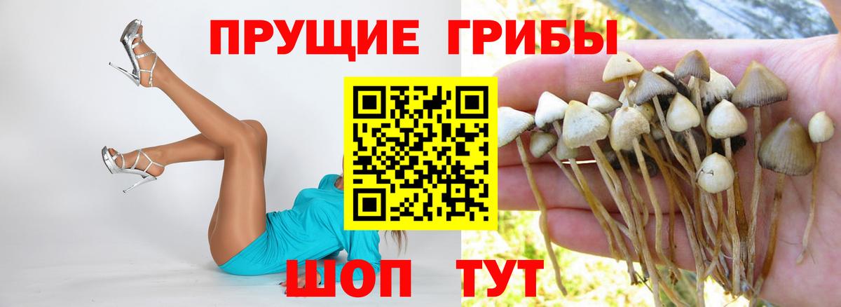 Галлюциногенные грибы Cubensis Еманжелинск